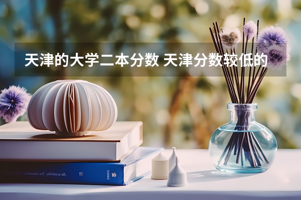 天津的大学二本分数 天津分数较低的二本大学