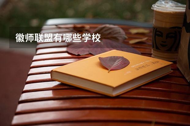 徽师联盟有哪些学校
