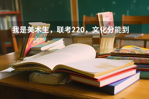 我是美术生，联考220，文化分能到400，能上什么本科学校？求答案