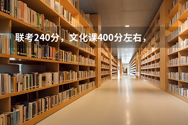联考240分，文化课400分左右，能报考哪些艺术类的大学