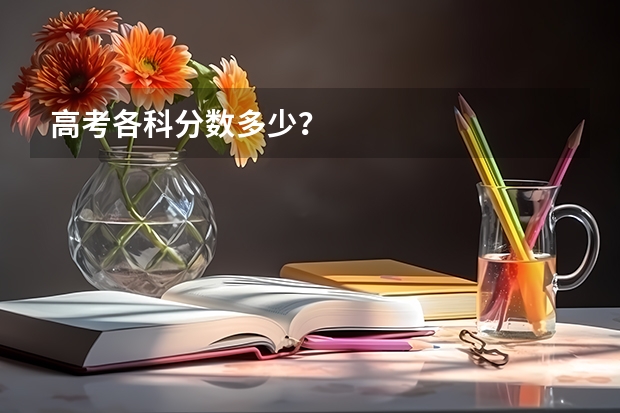 高考各科分数多少？