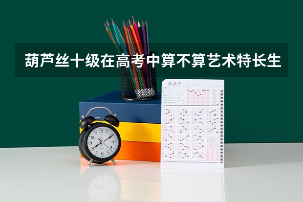 葫芦丝十级在高考中算不算艺术特长生（德宏州高考加分政策）