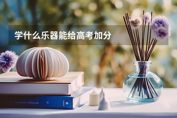 学什么乐器能给高考加分