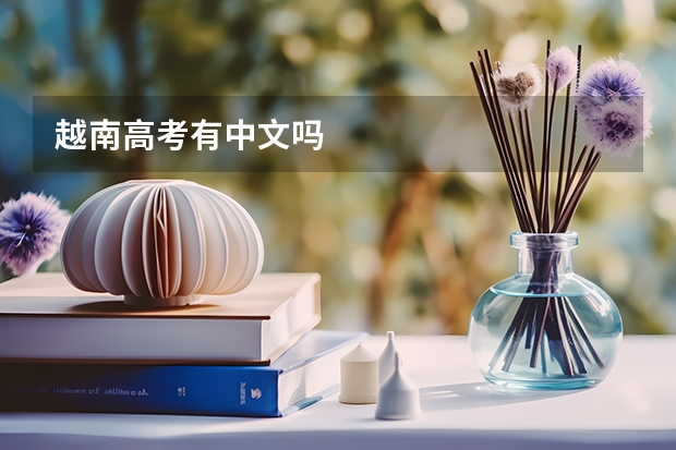 越南高考有中文吗
