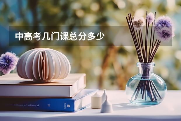 中高考几门课总分多少