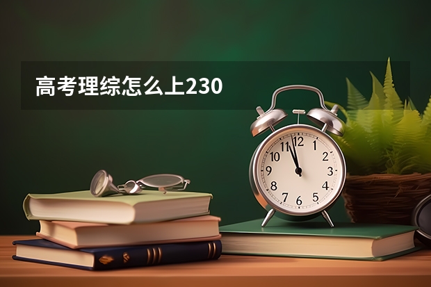 高考理综怎么上230