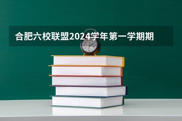 合肥六校联盟2024学年第一学期期中联考（5月合肥九师联盟平均分）