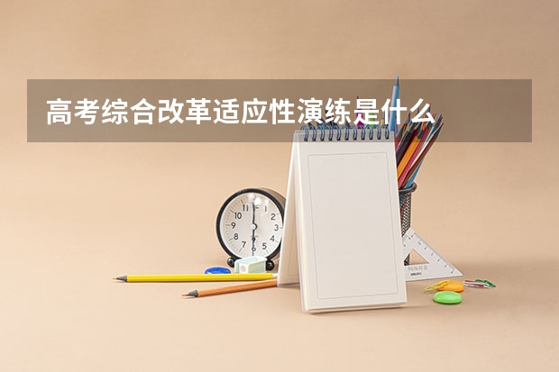 高考综合改革适应性演练是什么