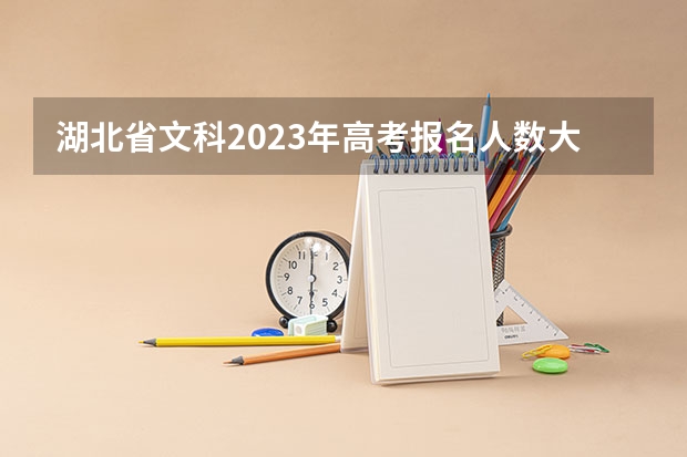 湖北省文科2023年高考报名人数大概是多少？