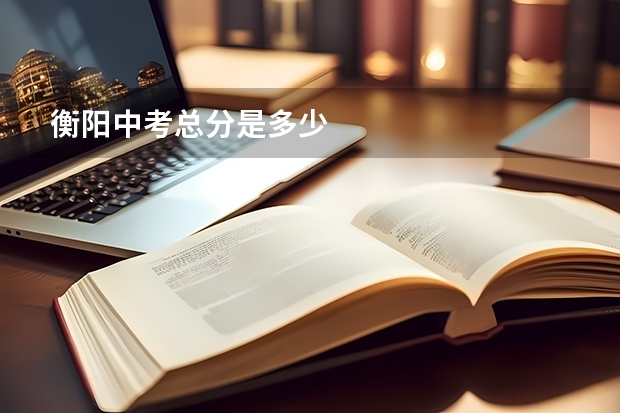 衡阳中考总分是多少