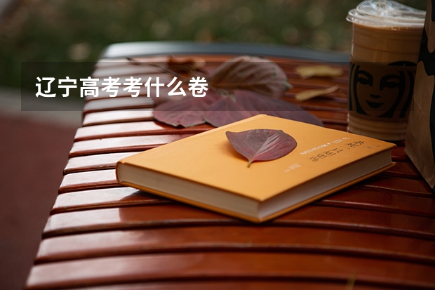 辽宁高考考什么卷