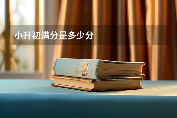 小升初满分是多少分