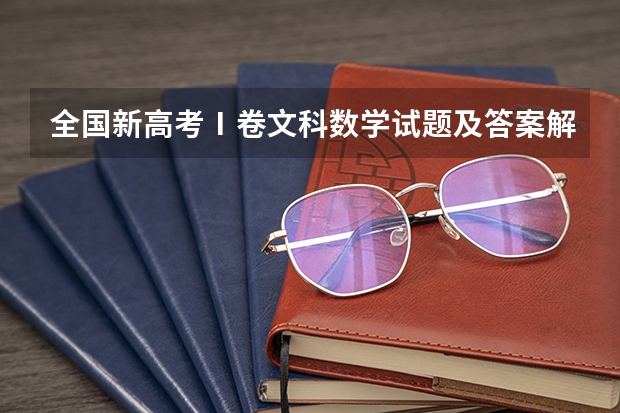 全国新高考Ⅰ卷文科数学试题及答案解析（2023年高考数学难度最新）