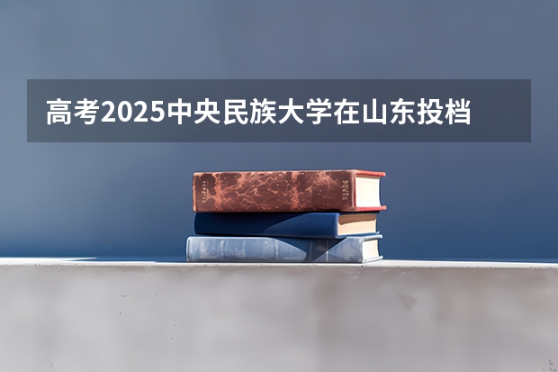 高考2025中央民族大学在山东投档分数线详解